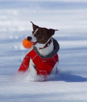 Антициклон-felix-змінить-погоду-в-Україні:-синоптикиня-Діденко-розкрила-деталі