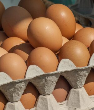 Термін-придатності-закінчився:-чи-варто-відразу-викидати-яйця-з-холодильника