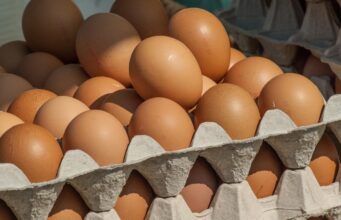 Термін придатності закінчився: чи варто відразу викидати яйця з холодильника Термін-придатності-закінчився:-чи-варто-відразу-викидати-яйця-з-холодильника