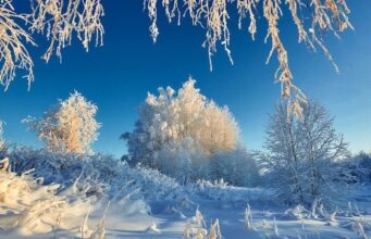 День ангела 17 лютого: кого та як вітати з іменинами День-ангела-17 лютого:-кого-та як вітати-з іменинами