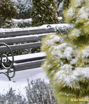 Волинські-синоптики-попереджають-про-снігопади-і-до-15°-морозу.-Прогноз-на-тиждень