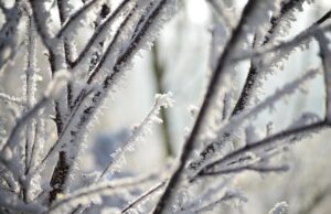 17 лютого морози в Україні посиляться 17-лютого-морози-в-Україні-посиляться