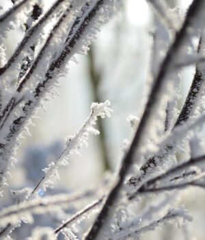 17-лютого-морози-в-Україні-посиляться