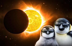 Сонячне затемнення 17 лютого 2026: для трьох знаків Зодіаку починається переломний період Сонячне-затемнення-17-лютого-2026:-для-трьох-знаків-Зодіаку-починається-переломний-період