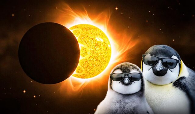 Сонячне затемнення 17 лютого 2026: для трьох знаків Зодіаку починається переломний період Сонячне-затемнення-17-лютого-2026:-для-трьох-знаків-Зодіаку-починається-переломний-період