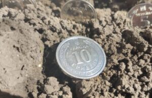 У фірми з Луцького району через суд вимагають майже чотири мільйони У-фірми-з-Луцького-району-через-суд-вимагають-майже-чотири-мільйони