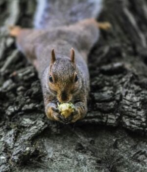 Синоптики-попередили-про-удар-циклону:-що-буде-з-погодою-в-Україні
