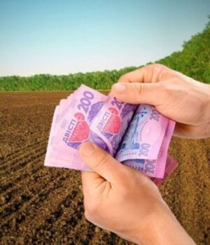 Волиняни-у-січні-заплатили-майже-55-мільйонів-гривень-за-землю