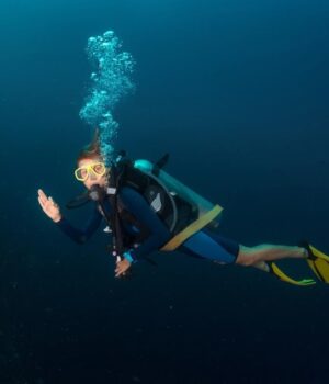 Біля-Японії-дайвери-виявили-крихітних-тварин-з-щупальцями-навколо-рота Біля-Японії-дайвери-виявили-крихітних-тварин-з-щупальцями-навколо-рота
