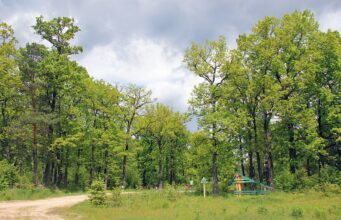 29 га земель Нацпарку «Цуманська пуща» незаконно передали у комунальну власність 29-га-земель-Нацпарку-«Цуманська-пуща»-незаконно-передали-у-комунальну-власність