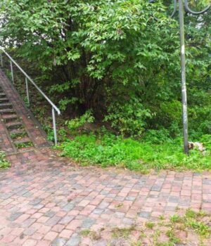 У-Луцьку-розчистять-береги-Сапалаївки