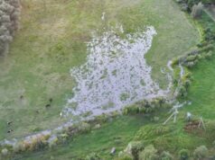 Відходи з шахти забруднюють волинське село і перетворюють його на болото Відходи-з-шахти-забруднюють-волинське-село-і-перетворюють-його-на-болото