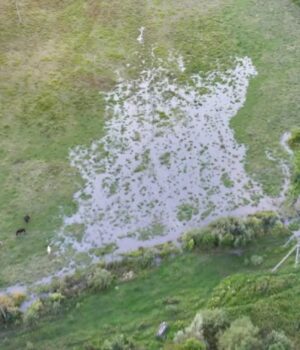 Відходи-з-шахти-забруднюють-волинське-село-і-перетворюють-його-на-болото