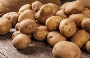 Скільки на ринках Луцька коштує картопля Скільки-на-ринках-Луцька-коштує-картопля