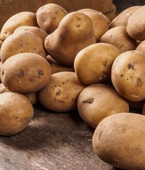 Скільки-на-ринках-Луцька-коштує-картопля Скільки-на-ринках-Луцька-коштує-картопля