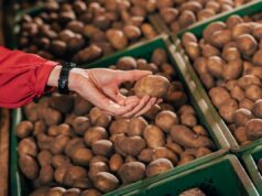 В Україні дорожчає картопля: скільки вже коштує кілограм В-Україні-дорожчає-картопля:-скільки-вже-коштує-кілограм