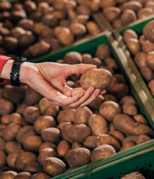 В-Україні-дорожчає-картопля:-скільки-вже-коштує-кілограм