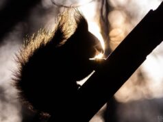 До України йде відчутне потепління: синоптикиня Діденко назвала точну дату До-України-йде-відчутне-потепління:-синоптикиня-Діденко-назвала-точну-дату