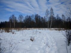 Волинська прокуратура намагається повернути державі десятки гектарів заповідної землі Волинська-прокуратура-намагається-повернути-державі-десятки-гектарів-заповідної-землі