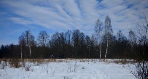 Волинська прокуратура намагається повернути державі десятки гектарів заповідної землі Волинська-прокуратура-намагається-повернути-державі-десятки-гектарів-заповідної-землі