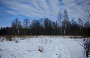 Волинська прокуратура намагається повернути державі десятки гектарів заповідної землі Волинська-прокуратура-намагається-повернути-державі-десятки-гектарів-заповідної-землі