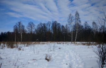 Волинська прокуратура намагається повернути державі десятки гектарів заповідної землі Волинська-прокуратура-намагається-повернути-державі-десятки-гектарів-заповідної-землі