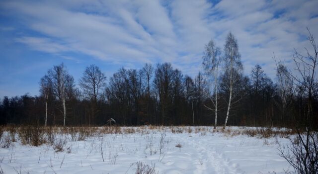 Волинська прокуратура намагається повернути державі десятки гектарів заповідної землі Волинська-прокуратура-намагається-повернути-державі-десятки-гектарів-заповідної-землі