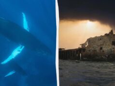 У 1949 році вчені записали моторошні звуки поблизу Бермудських островів: що ж це було У-1949-році-вчені-записали-моторошні-звуки-поблизу-Бермудських-островів:-що-ж-це-було