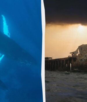 У-1949-році-вчені-записали-моторошні-звуки-поблизу-Бермудських-островів:-що-ж-це-було