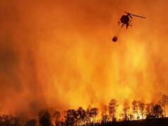 За останні 45 років кількість днів із високим ризиком пожеж зросла втричі, – вчені За-останні-45-років-кількість-днів-із-високим-ризиком-пожеж-зросла-втричі,-–-вчені