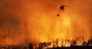 За останні 45 років кількість днів із високим ризиком пожеж зросла втричі, – вчені За-останні-45-років-кількість-днів-із-високим-ризиком-пожеж-зросла-втричі,-–-вчені