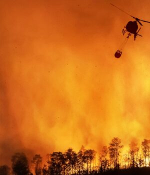 За-останні-45-років-кількість-днів-із-високим-ризиком-пожеж-зросла-втричі,-–-вчені