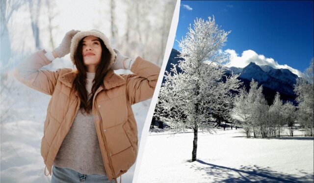 20 лютого настає дуже важливе свято в Україні: про це потрібно знати кожному 20-лютого-настає-дуже-важливе-свято-в-Україні:-про-це-потрібно-знати-кожному