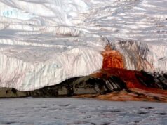 Червона вода з-під льоду: що приховує Кривавий водоспад Антарктиди Червона-вода-з-під-льоду:-що-приховує-Кривавий-водоспад-Антарктиди