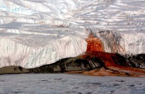 Червона вода з-під льоду: що приховує Кривавий водоспад Антарктиди Червона-вода-з-під-льоду:-що-приховує-Кривавий-водоспад-Антарктиди