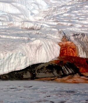 Червона-вода-з-під-льоду:-що-приховує-Кривавий-водоспад-Антарктиди