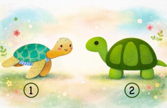 Чи є ви заздрісною людиною: психологічний тест допоможе розібратися Чи-є-ви-заздрісною-людиною:-психологічний-тест-допоможе-розібратися