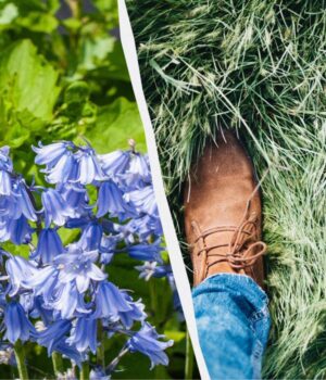 Як-весняний-обряд-став-побажанням:-мовознавиця-пояснила,-що-значить-“топтати-ряст” Як-весняний-обряд-став-побажанням:-мовознавиця-пояснила,-що-значить-“топтати-ряст”