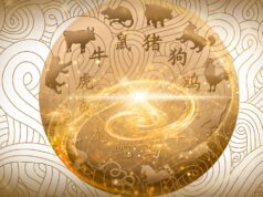 Ці китайські знаки Зодіаку скоро зірвуть куш і змінять життя Ці-китайські-знаки-Зодіаку-скоро-зірвуть-куш-і-змінять-життя