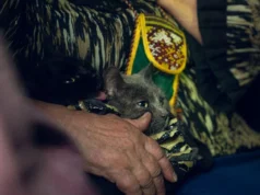 Понад 130 тис. українців евакуйовано за рік, житло потрібне 4,6 млн переселенців – віцепрем'єр Понад-130-тис.-українців-евакуйовано-за-рік,-житло-потрібне-4,6-млн-переселенців-–-віцепрем'єр