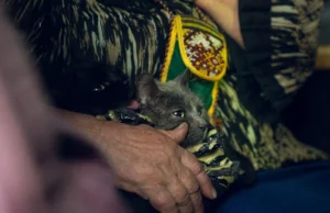 Понад 130 тис. українців евакуйовано за рік, житло потрібне 4,6 млн переселенців – віцепрем'єр Понад-130-тис.-українців-евакуйовано-за-рік,-житло-потрібне-4,6-млн-переселенців-–-віцепрем'єр