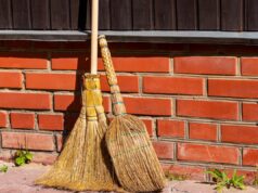 Чому кажуть “До нових віників” і до чого тут невістки: пояснює мовознавиця Чому-кажуть-“До-нових-віників”-і-до-чого-тут-невістки:-пояснює-мовознавиця