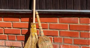 Чому кажуть “До нових віників” і до чого тут невістки: пояснює мовознавиця Чому-кажуть-“До-нових-віників”-і-до-чого-тут-невістки:-пояснює-мовознавиця