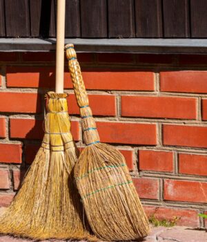 Чому-кажуть-“До-нових-віників”-і-до-чого-тут-невістки:-пояснює-мовознавиця