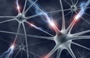 Учені виростили в лабораторії мозок та навчили його розв’язувати задачі Учені-виростили-в-лабораторії-мозок-та-навчили-його-розв’язувати-задачі