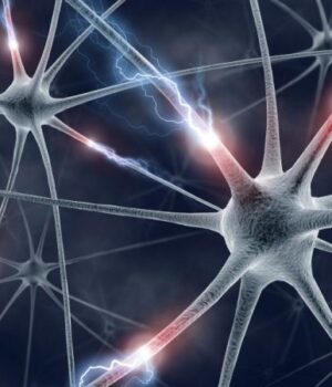 Учені-виростили-в-лабораторії-мозок-та-навчили-його-розв’язувати-задачі