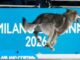 Незвичайні історії Зимових Олімпійських ігор 2026 року в Мілано-Кортіні Пеніси,-вовки-та-інші-дивні-історії-з-Олімпіади-2026