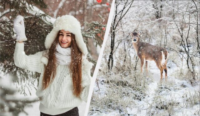 В Україні з’явилося нове свято 24 лютого: що потрібно зробити всім віруючим В-Україні-з’явилося-нове-свято-24-лютого:-що-потрібно-зробити-всім-віруючим