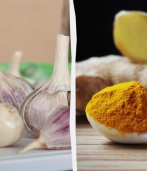 Часник-проти-імбиру:-дослідження-показали,-що-корисніше-для-імунітету