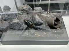 Рої кіборг-комах замість дронів: у Німеччині презентували нову військову розробку (фото) Рої-кіборг-комах-замість-дронів:-у-Німеччині-презентували-нову-військову-розробку-(фото)